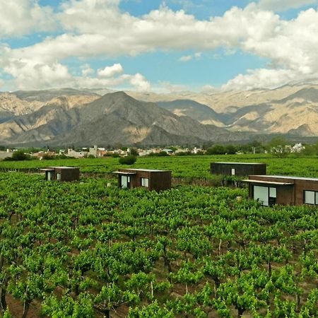 El Porvenir Wine Lodge Cafayate Εξωτερικό φωτογραφία