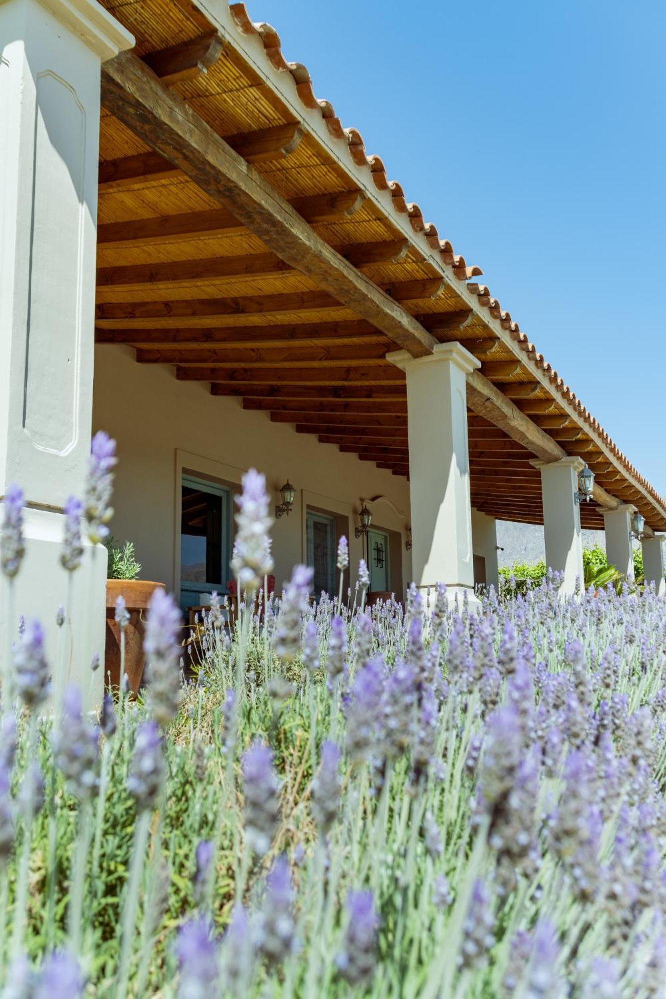 El Porvenir Wine Lodge Cafayate Εξωτερικό φωτογραφία