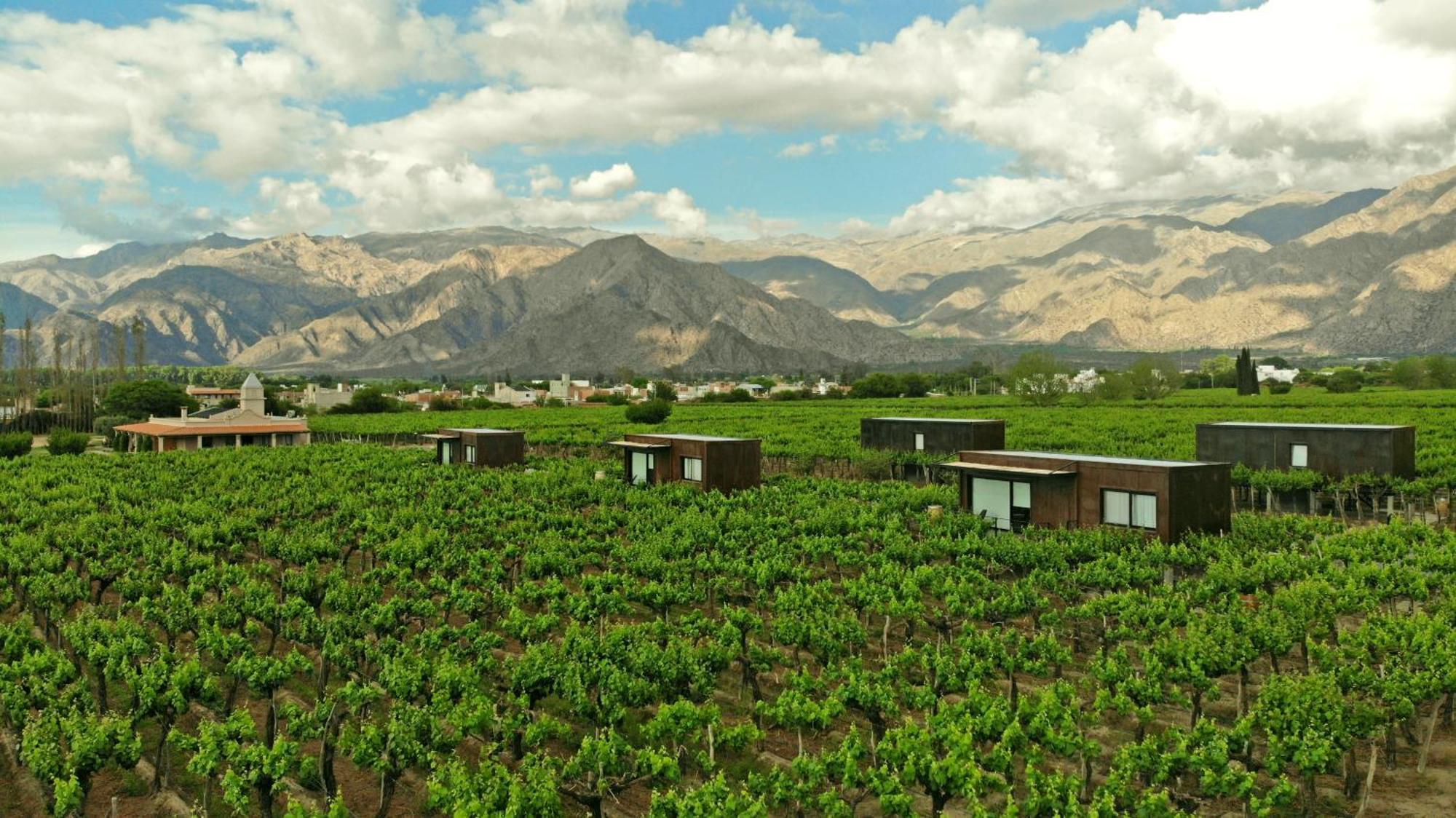 El Porvenir Wine Lodge Cafayate Εξωτερικό φωτογραφία