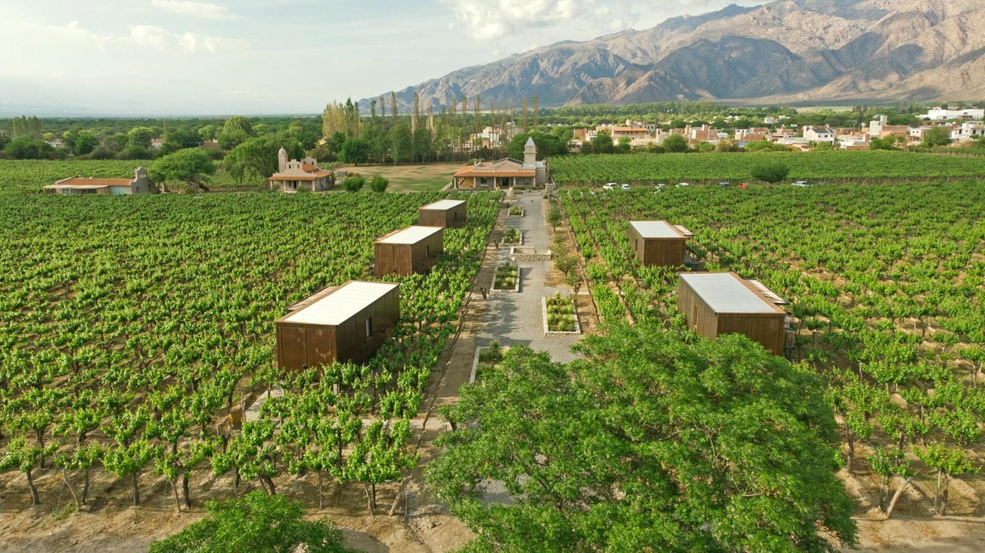 El Porvenir Wine Lodge Cafayate Εξωτερικό φωτογραφία