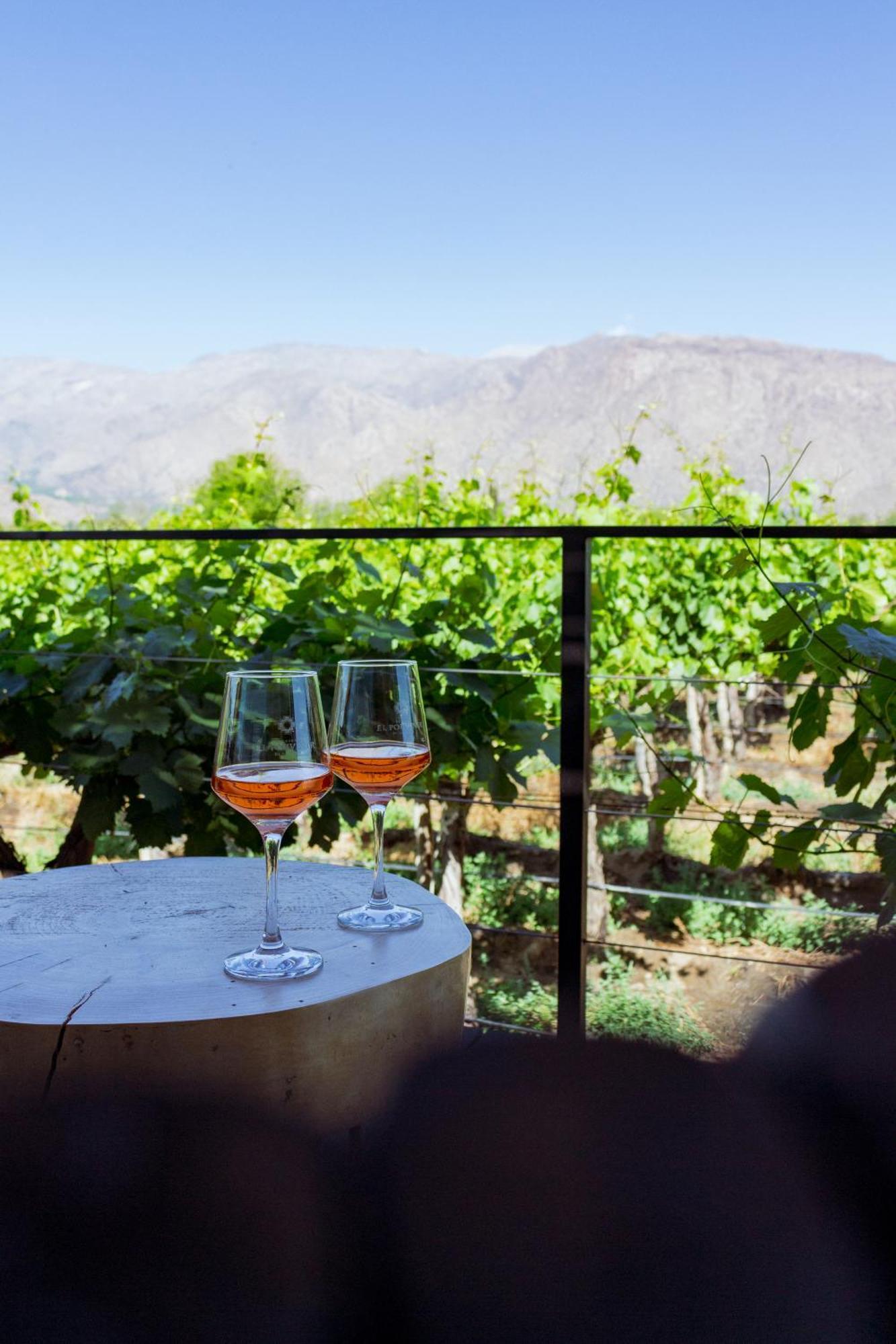 El Porvenir Wine Lodge Cafayate Εξωτερικό φωτογραφία