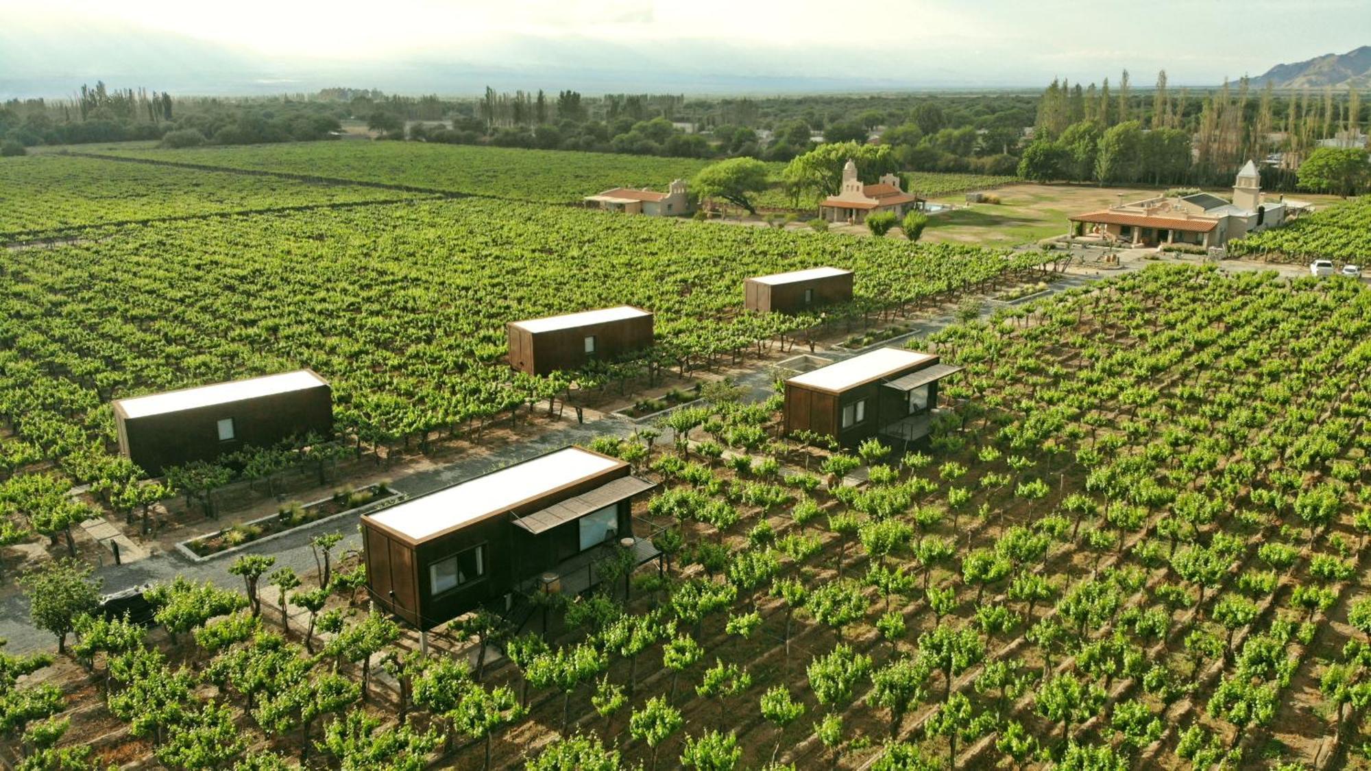 El Porvenir Wine Lodge Cafayate Εξωτερικό φωτογραφία