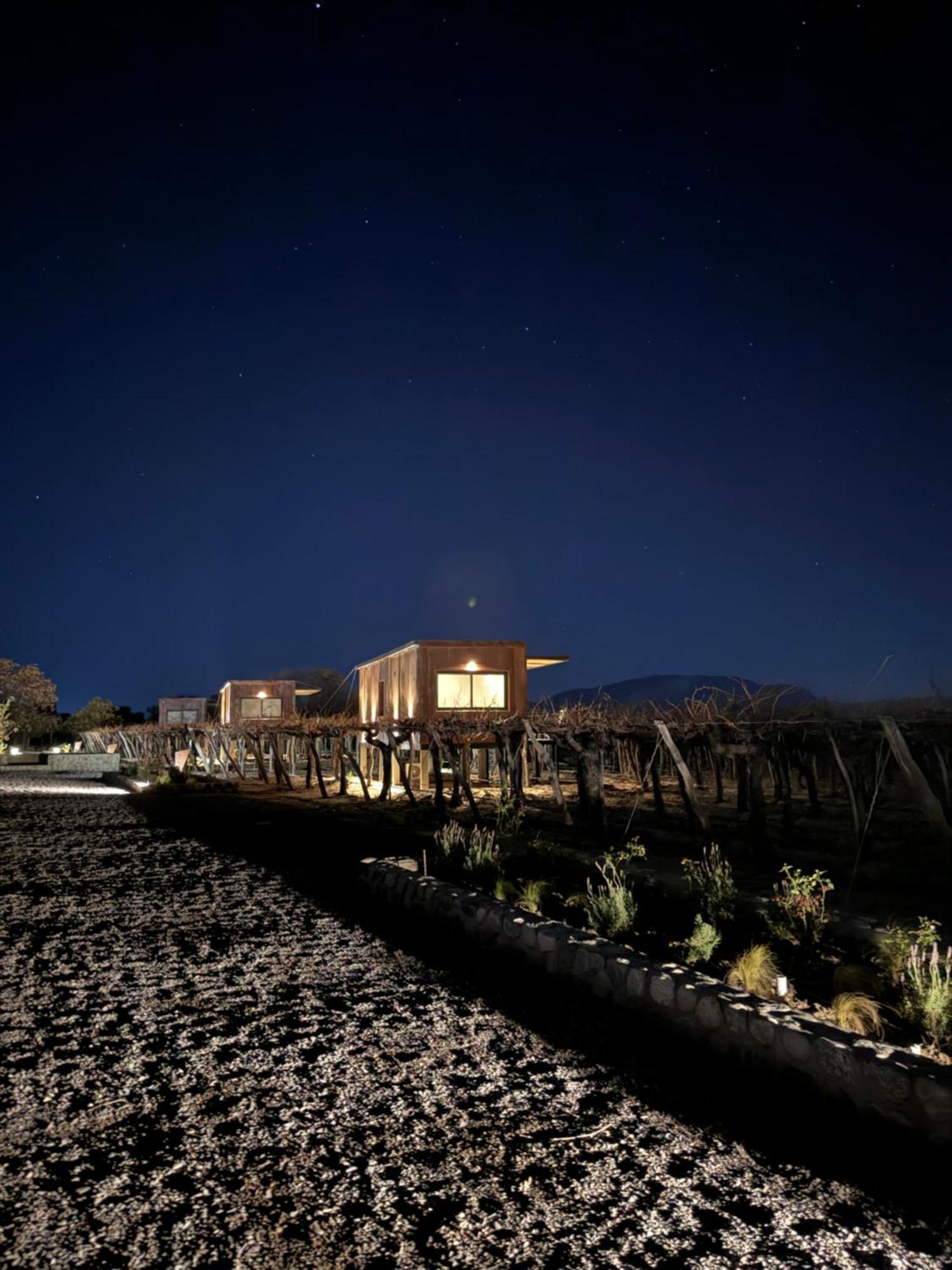 El Porvenir Wine Lodge Cafayate Εξωτερικό φωτογραφία