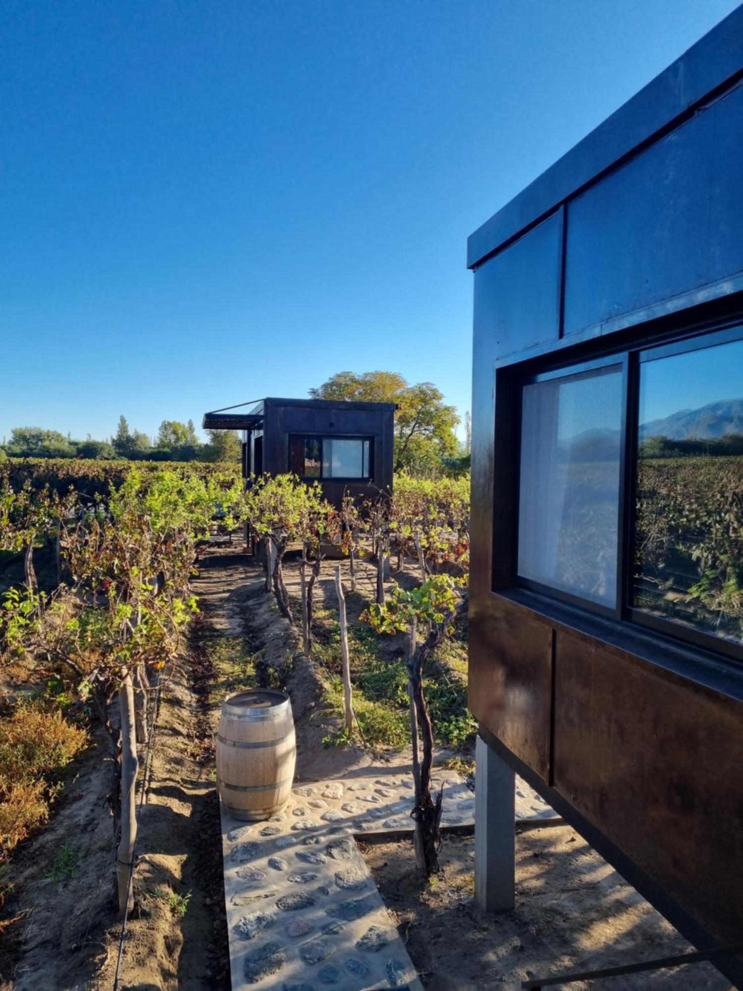 El Porvenir Wine Lodge Cafayate Εξωτερικό φωτογραφία
